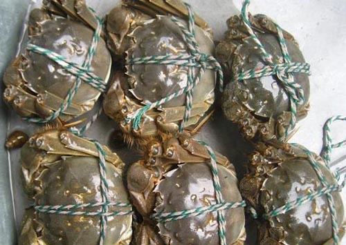 分條雙復(fù)卷機(jī)